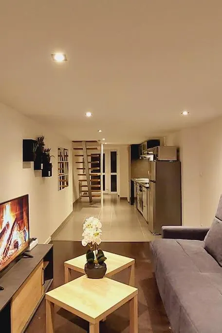 Loft/Duplex Villeurbanne, Charpennes/Gratte-Ciel Apartment Villeurbanne