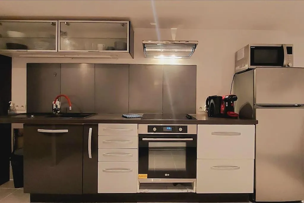 Loft/Duplex Villeurbanne, Charpennes/Gratte-Ciel Villeurbanne